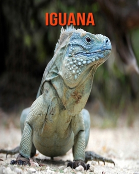 Paperback Iguana: Amazing Facts about Iguana Book