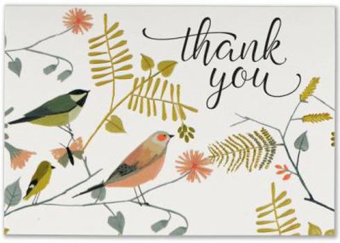 Hardcover Ty Note Songbirds Book