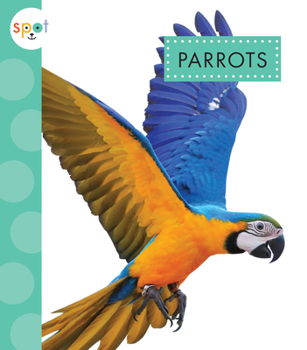 Hardcover Parrots Book