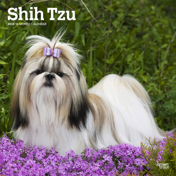Calendar Shih Tzu 2024 Square Book