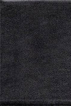 Thompson Chain Reference Bible-KJV-Handy Size