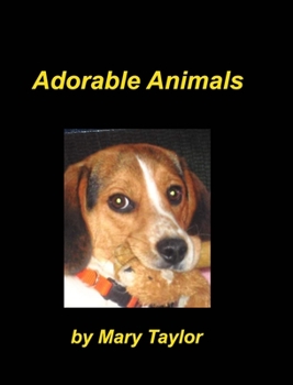 Hardcover Adorable Animals: Beagles Cats Birds Dalmatains Animal Lovers Book