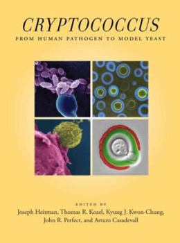 Hardcover Cryptococcus: From Human Pathogen to Model Yeast Book