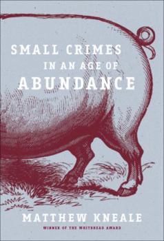 Hardcover Small Crimes in an Age of Abundance Book