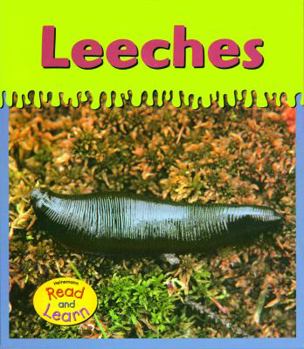 Paperback Leeches (Ooey-gooey Animals) Book