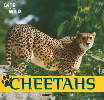 Cheetahs - Book  of the Cats of the Wild