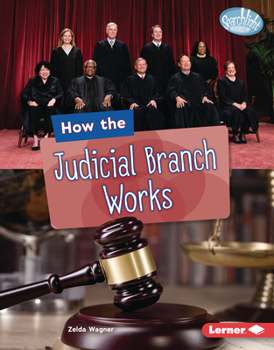 Library Binding How the Judicial Branch Works Book