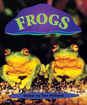 Storyteller, First Snow, Frogs