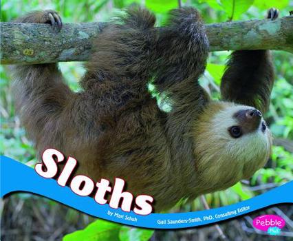 Hardcover Sloths Book