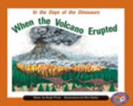 Paperback When the Volcano Erupted Book