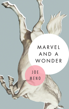 Paperback Marvel and a Wonder Book