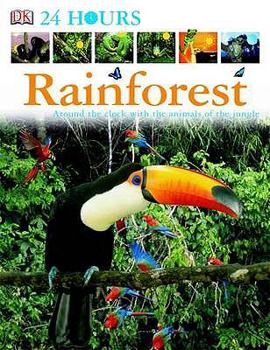 Rain Forest (DK 24 HOURS) - Book  of the DK 24 Hours