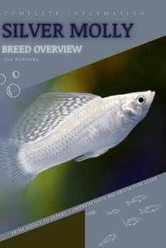 Silver Molly: From Novice to Expert. Comprehensive Aquarium Fish Guide