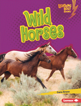 Library Binding Wild Horses Book