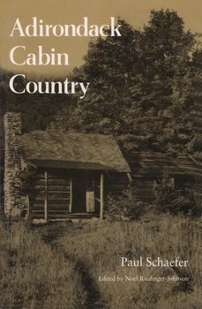 Paperback Adirondack Cabin Country Book