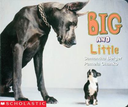 Board book Big and Little Book