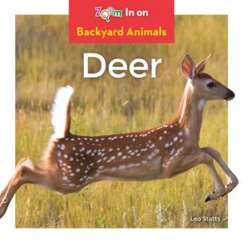 Deer - Book  of the Backyard Animals