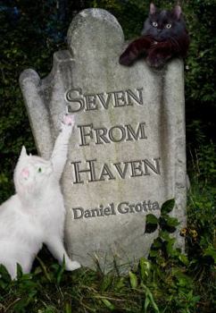 Paperback Seven from Haven Book