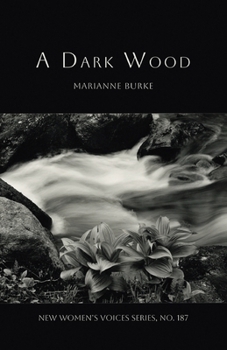 Paperback A Dark Wood Book