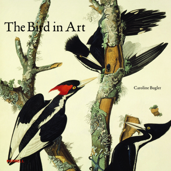 Hardcover The Bird in Art Book