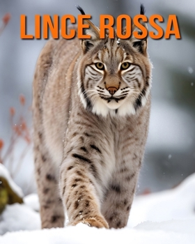 Lince rossa: Fatti e immagini divertenti e affascinanti sui Lince rossa (Italian Edition)