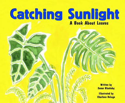 Hardcover Catching Sunlight: A Book about Leaves Book