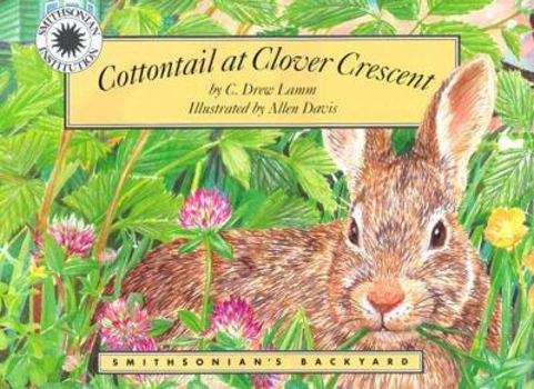 Hardcover Cottontail at Clover Crescent Book