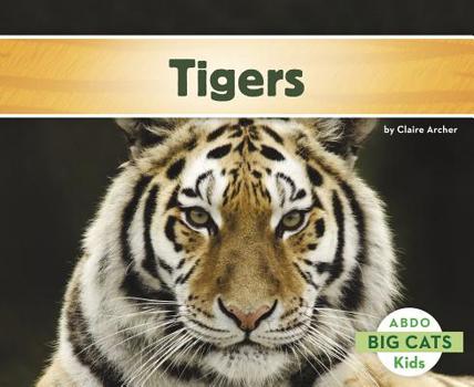 Tigers - Book  of the Big Cats