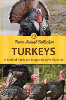Paperback Turkeys Book