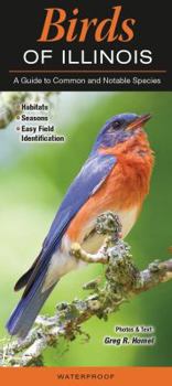 Birds of Illinois: A Guide to Common and Notable Species