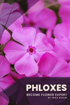 Phloxes: Become flower expert