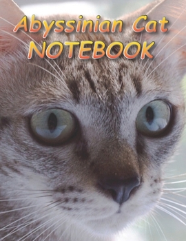 Paperback Abyssinian Cat NOTEBOOK: Notebooks and Journals 110 pages (8.5"x11") Book