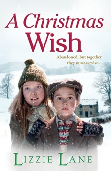 Paperback A Christmas Wish Book