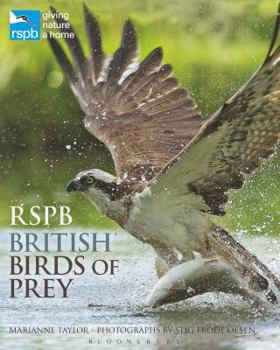 Rspb British Birds of Prey
