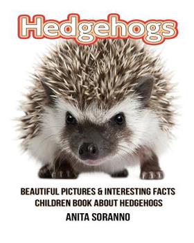 Paperback Hedgehogs: Beautiful Pictures & Interesting Facts Children Book about Hedgehogs Book