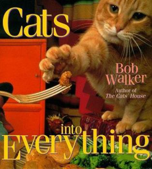 Hardcover Cats Into Everything Book