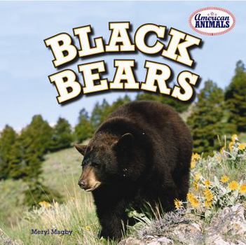 Paperback Black Bears Book