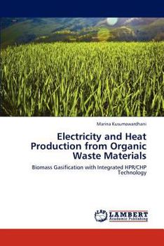 Paperback Electricity and Heat Production from Organic Waste Materials Book