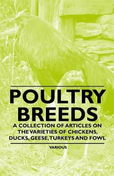 Paperback Poultry Breeds - A Collection of Articles on the Varieties of Chickens, Ducks, Geese, Turkeys and Fowl Book