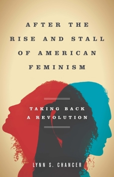 Hardcover After the Rise and Stall of American Feminism: Taking Back a Revolution Book