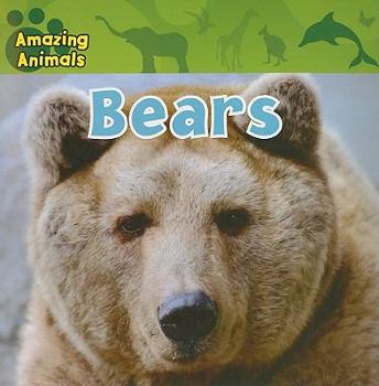 Bears (Amazing Animals) - Book  of the Amazing Animals