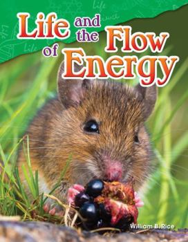 Paperback Life and the Flow of Energy Book