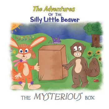 Paperback The Mysterious Box Book