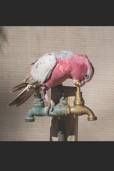 Rosakakadu: Notizbuch / Tagebuch / Reisetagebuch frecher Kakadu Papagei - DIN A5 120 Seiten liniert -  Geschenk für Australienliebhaber (German Edition)