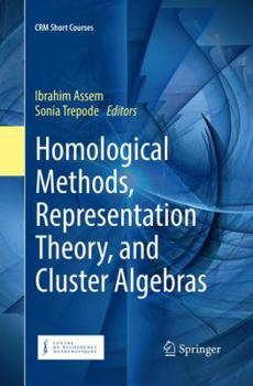 Paperback Homological Methods, Representation Theory, and Cluster Algebras Book