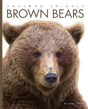 Library Binding Amazing Animals Brown Bears Book