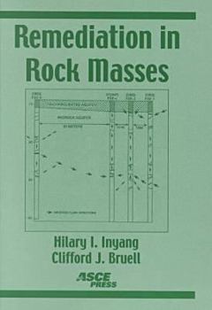 Paperback Remediation in Rock Masses Book