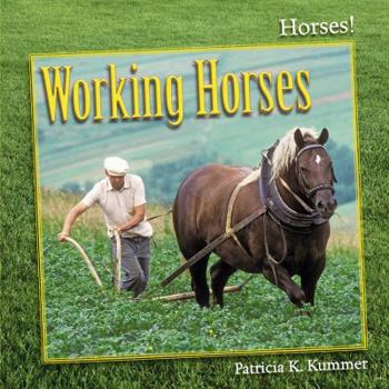 Library Binding Working Horses Book