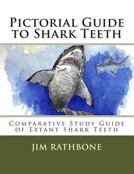 Paperback Pictorial Guide to Shark Teeth: Comparative Study Guide of Extant Shark Teeth Book