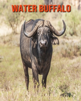 Paperback Water Buffalo: Fun Learning Facts About Water Buffalo Book